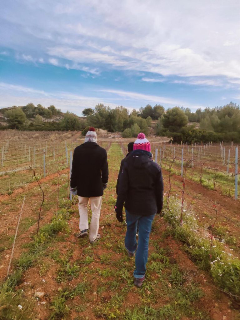 Rendez-vous Vignoble à partir du 08 Octobre tous les samedis